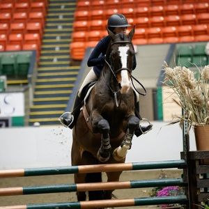 Meet your Posher, Pony